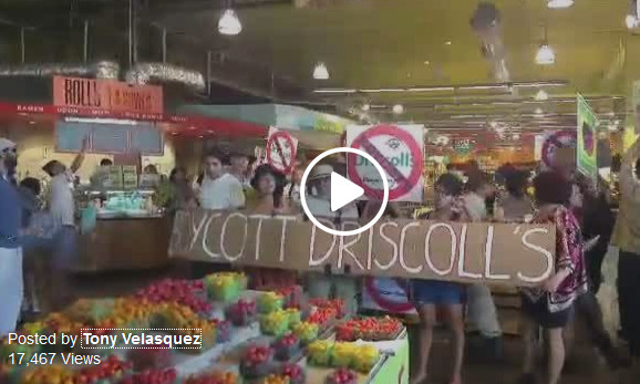 boycot driscolls